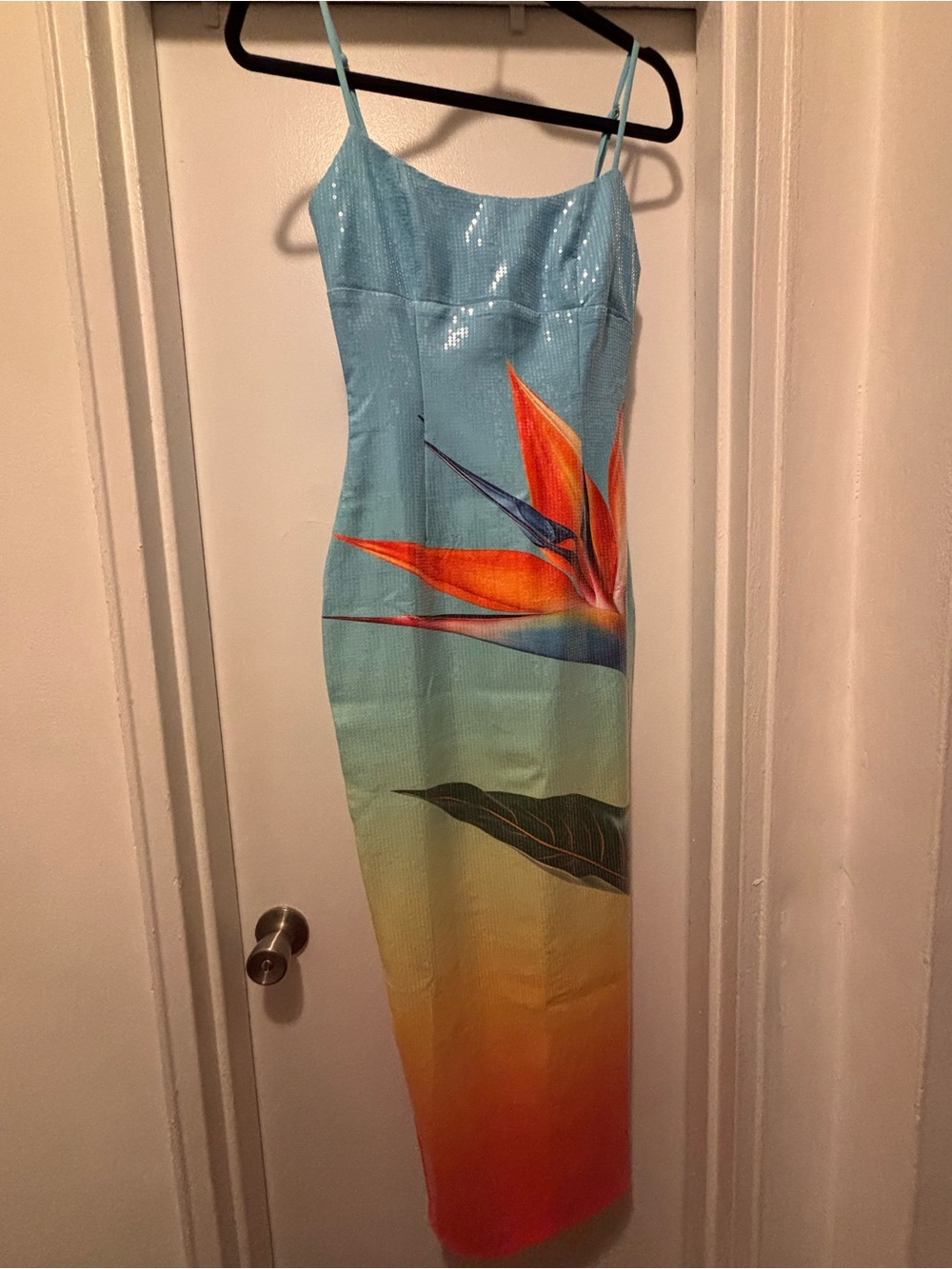 Tropical Ombre Slip Midi Dress with Bird of Paradise Print